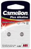  - Camelion beterky akumulátor WG5