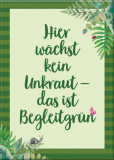  - Magnet Begleitgrün