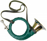  - Fürst-Pless-Horn